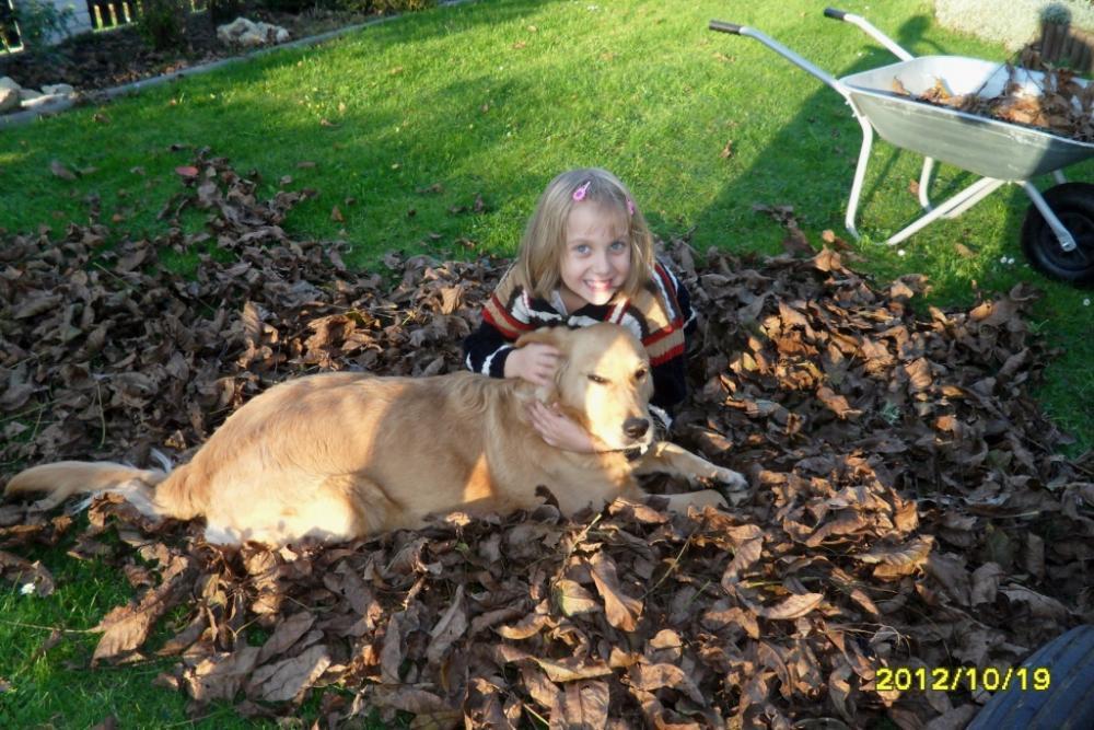 Duży ogród z domem drewnianym, zdjęcie 26