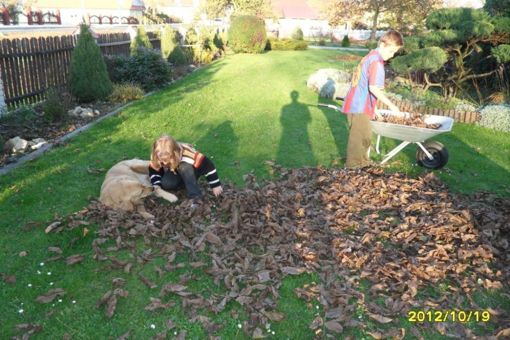 Duży ogród z domem drewnianym, zdjęcie 23