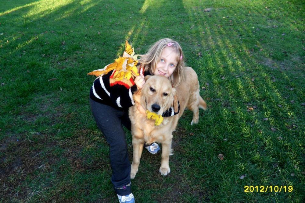 Duży ogród z domem drewnianym, zdjęcie 25