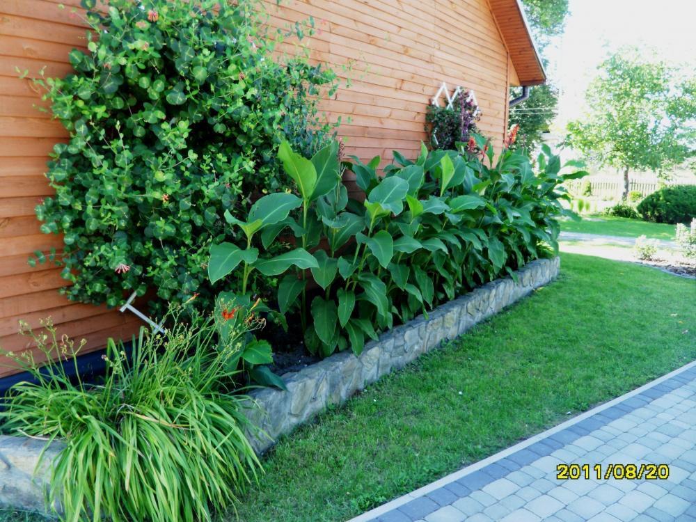 Duży ogród z domem drewnianym, zdjęcie 22