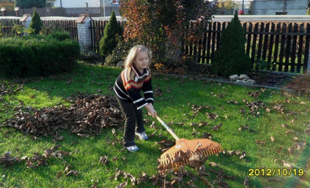 Duży ogród z domem drewnianym, zdjęcie 24