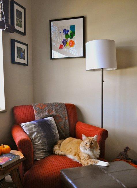 "Zwierzak w moim domu" - inspiracje, zdjęcie 6