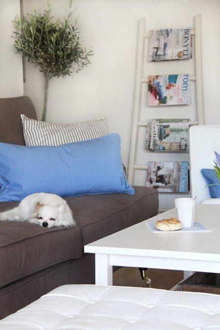 "Zwierzak w moim domu" - inspiracje, zdjęcie 7