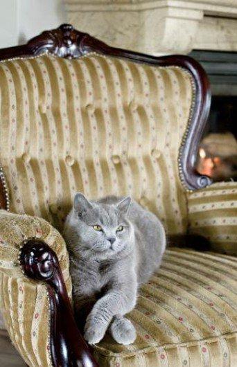 Sosnowy Dworek, zdjęcie 36