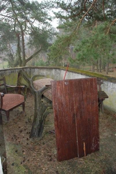 Sosnowy Dworek, zdjęcie 14