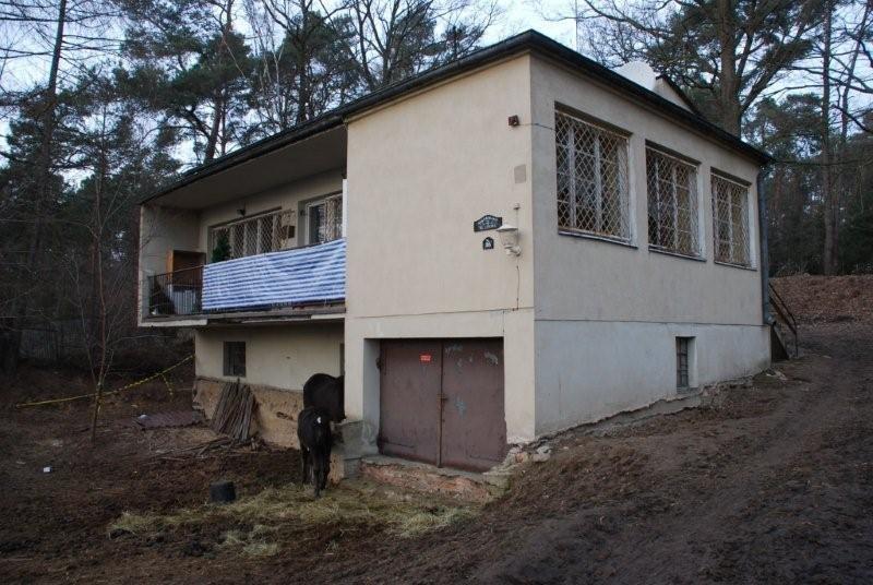 Żabiczki, zdjęcie 4