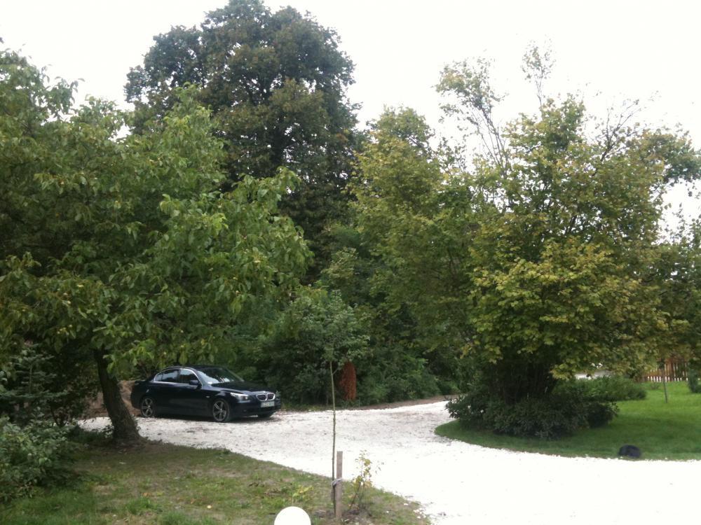 Dom pod lasem, zdjęcie 29