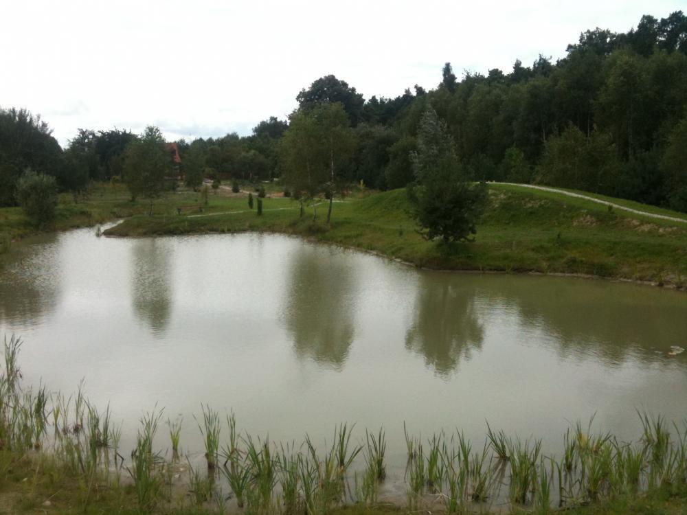 Dom pod lasem, zdjęcie 23