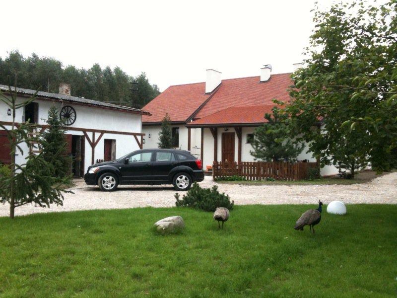 Dom pod lasem, zdjęcie 13