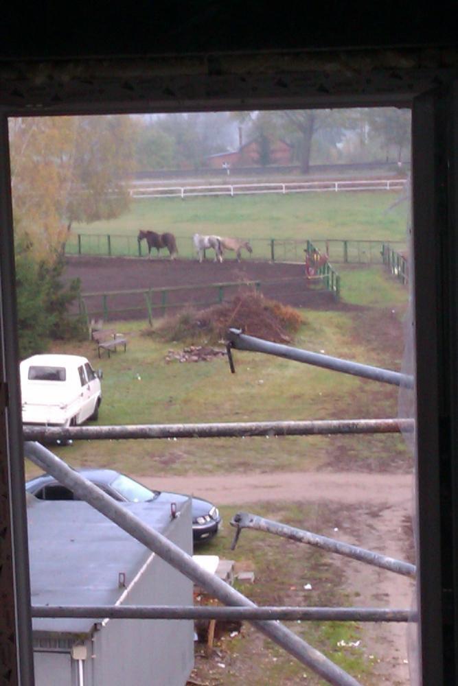 Centrum Hipoterapii i Rehabilitacji "Zabajka", zdjęcie 6