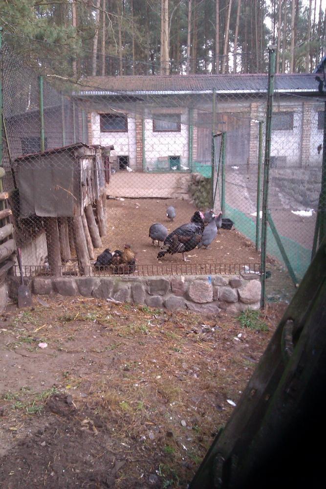 Centrum Hipoterapii i Rehabilitacji "Zabajka", zdjęcie 7