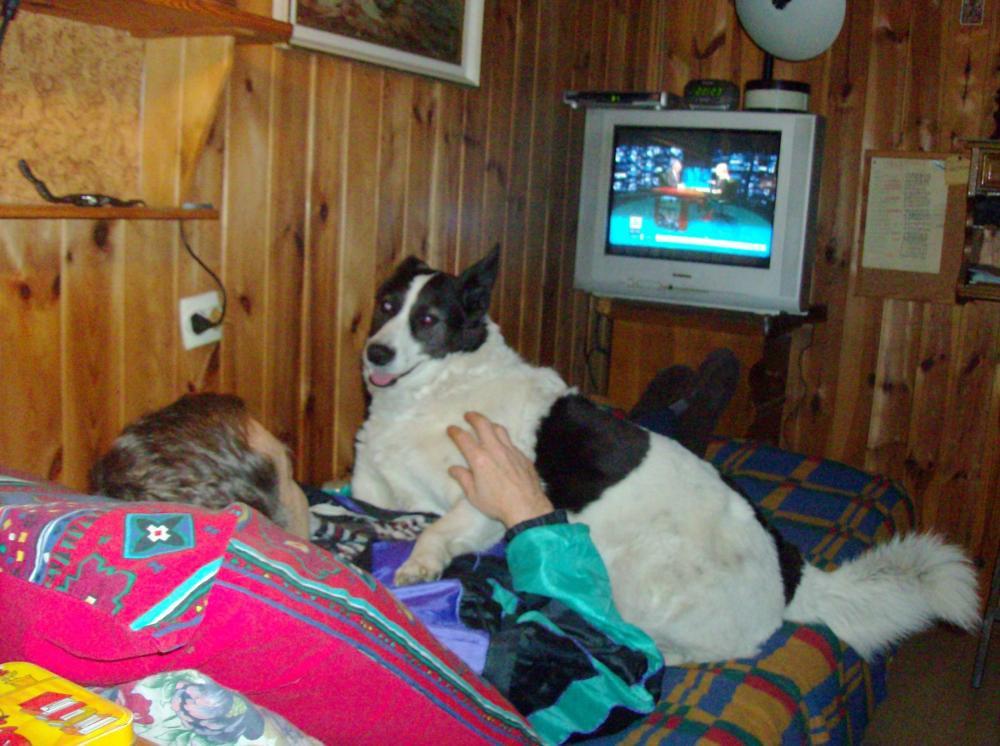 Zwierzak w moim domu-konkurs, zdjęcie 13