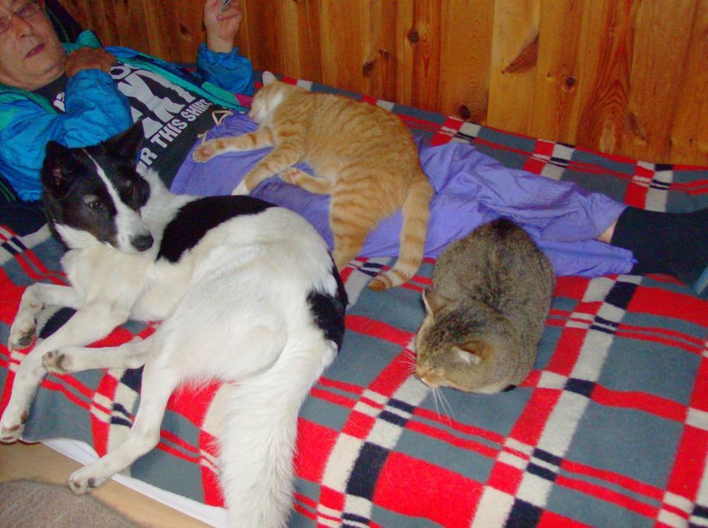 Zwierzak w moim domu-konkurs, zdjęcie 3