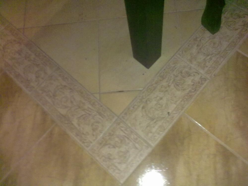 Zwierzak w moim domu, zdjęcie 1