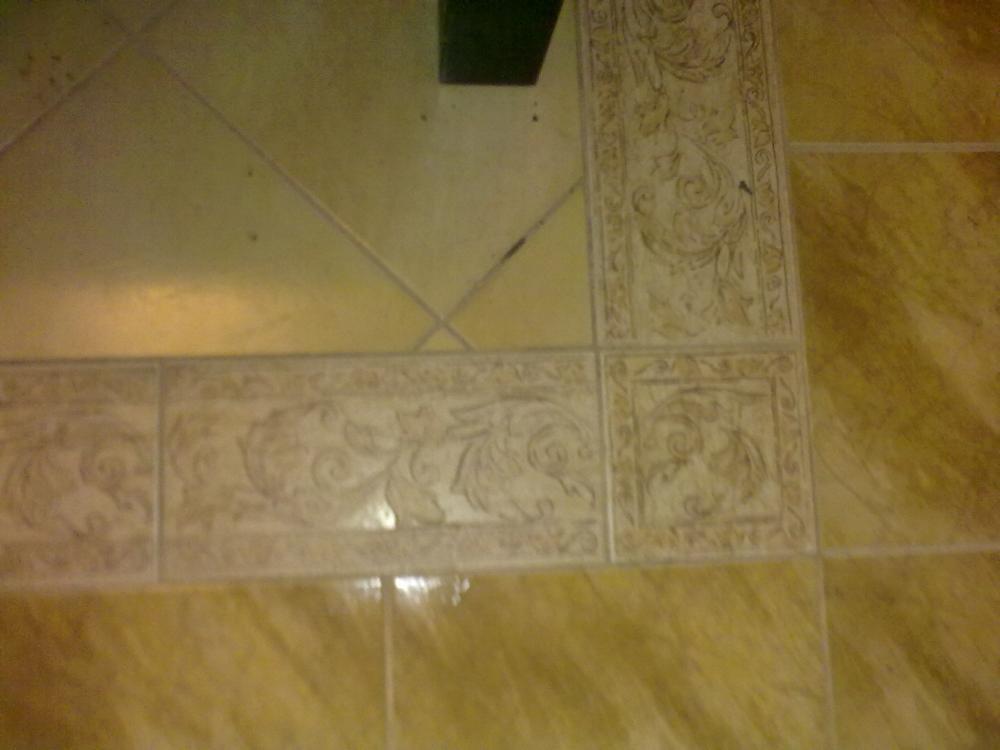 Zwierzak w moim domu, zdjęcie 2