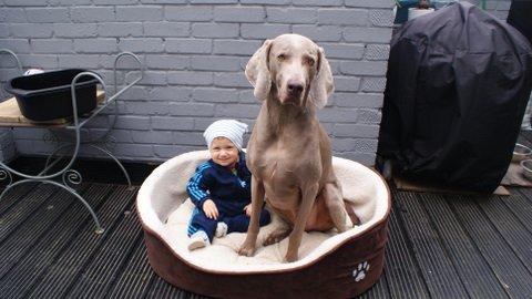 COCO I GREYDON, zdjęcie 2