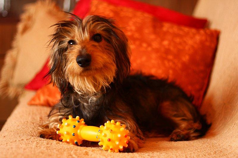 Konkurs Urodzinowy, zdjęcie 2