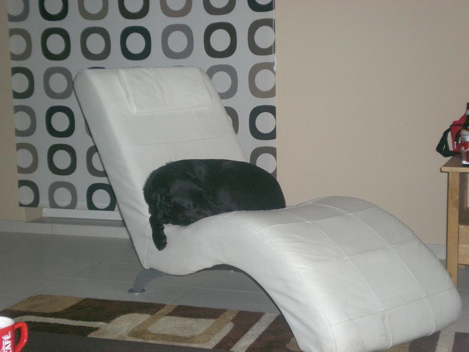 Zwierzak w moim domu- Kluska na włościach:), zdjęcie 9