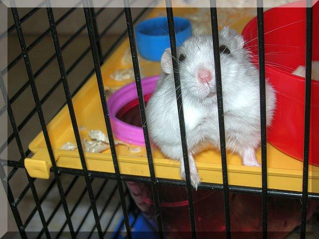 Pupil naszej córy, zdjęcie 3