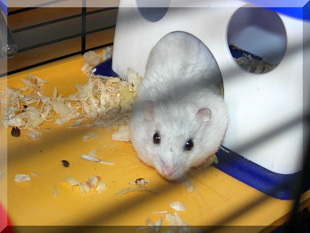 Pupil naszej córy, zdjęcie 4