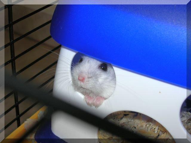 Pupil naszej córy, zdjęcie 2