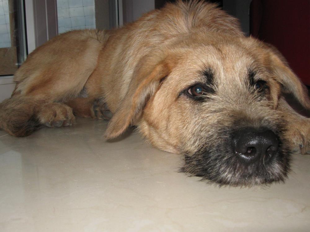 Emi i płytki, zdjęcie 1