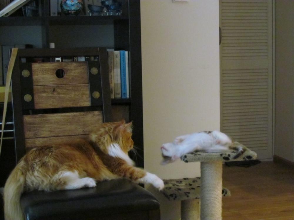 nauka i zabawa, zdjęcie 3