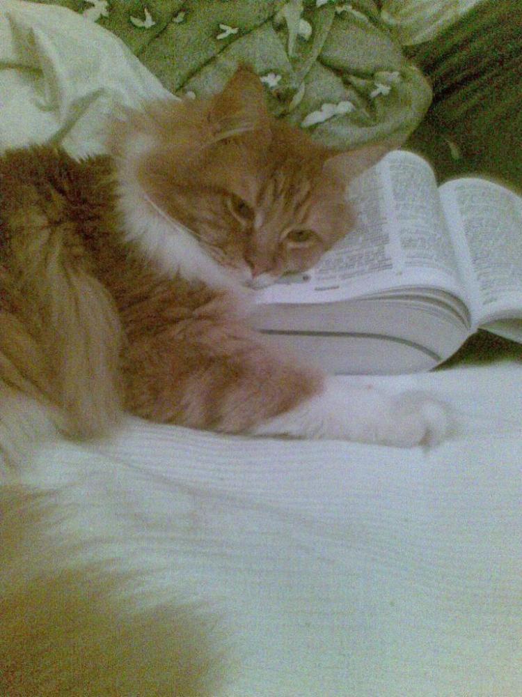 nauka i zabawa, zdjęcie 1