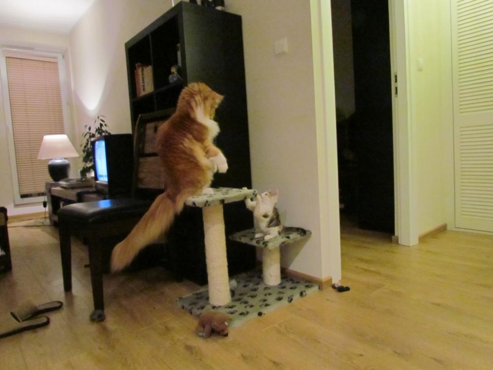 nauka i zabawa, zdjęcie 2