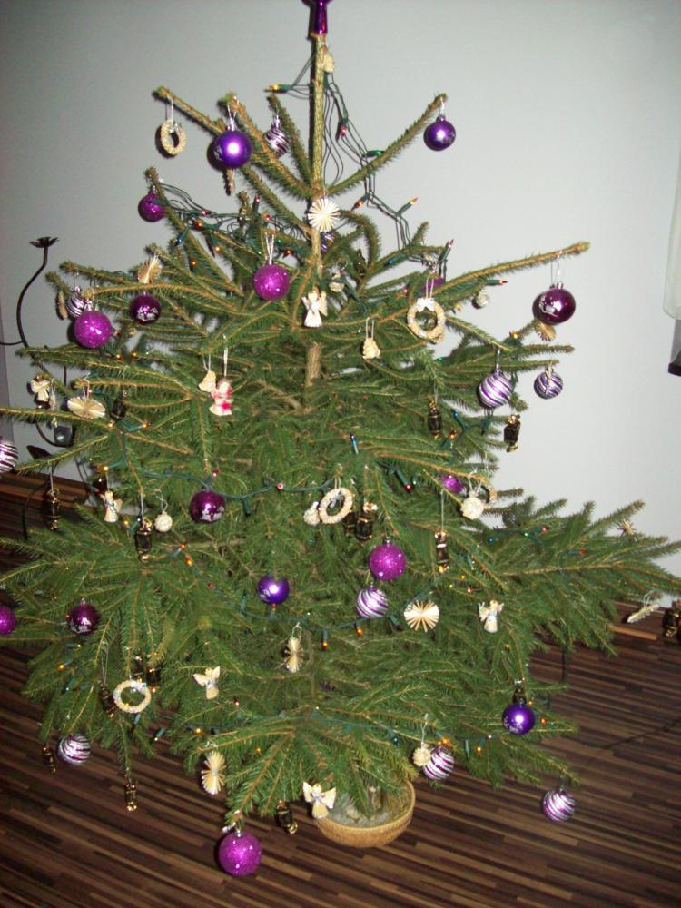 Inspiracji świątecznych ciąg dalszy- W moim magicznym domu, zdjęcie 14