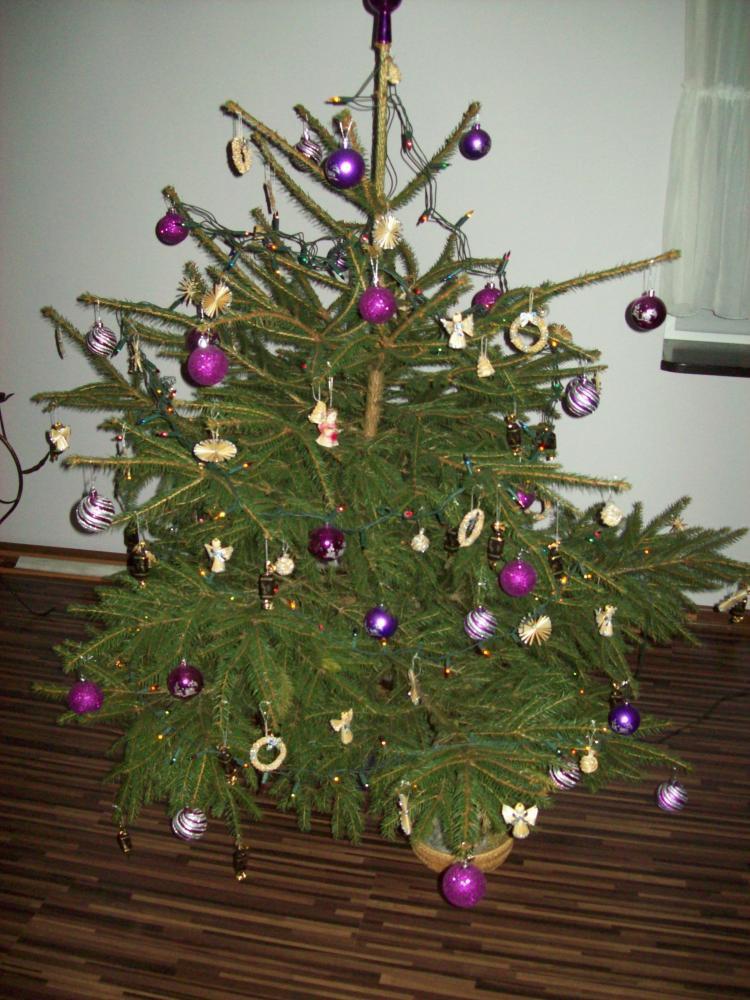 Moje panele WOODSTOCK LONGITUDINAL, zdjęcie 1