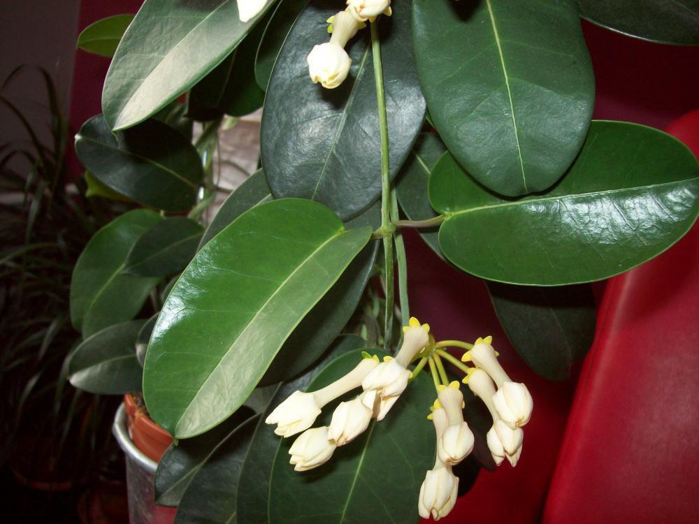 Coraz bliżej święta..., zdjęcie 9