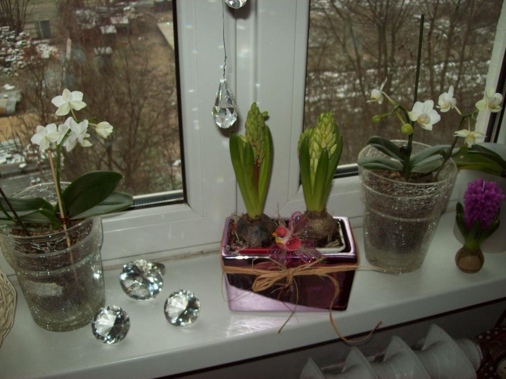 Okno udekorowane na święta, zdjęcie 12