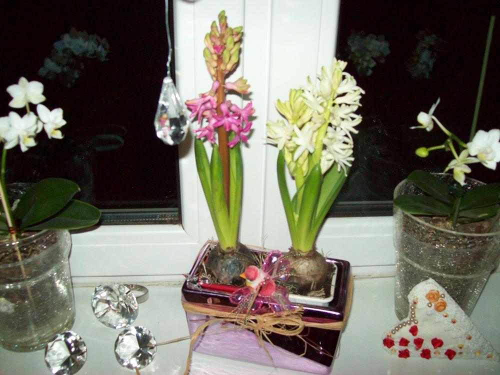 Okno udekorowane na święta, zdjęcie 9