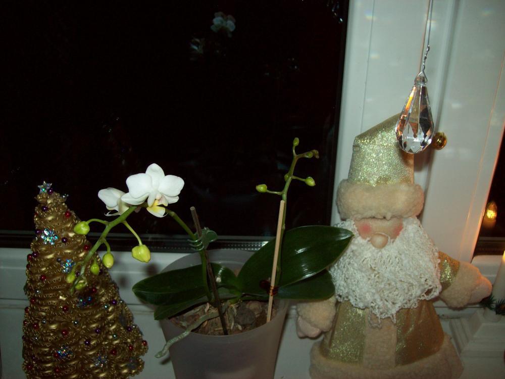 Okno udekorowane na święta, zdjęcie 8