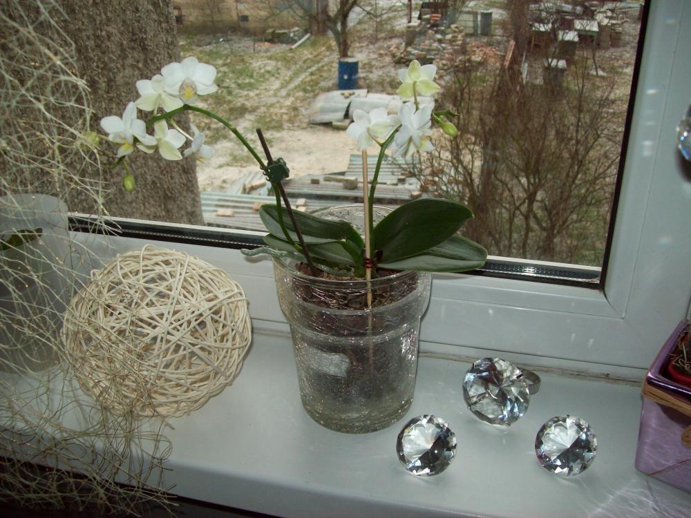 Okno udekorowane na święta, zdjęcie 4