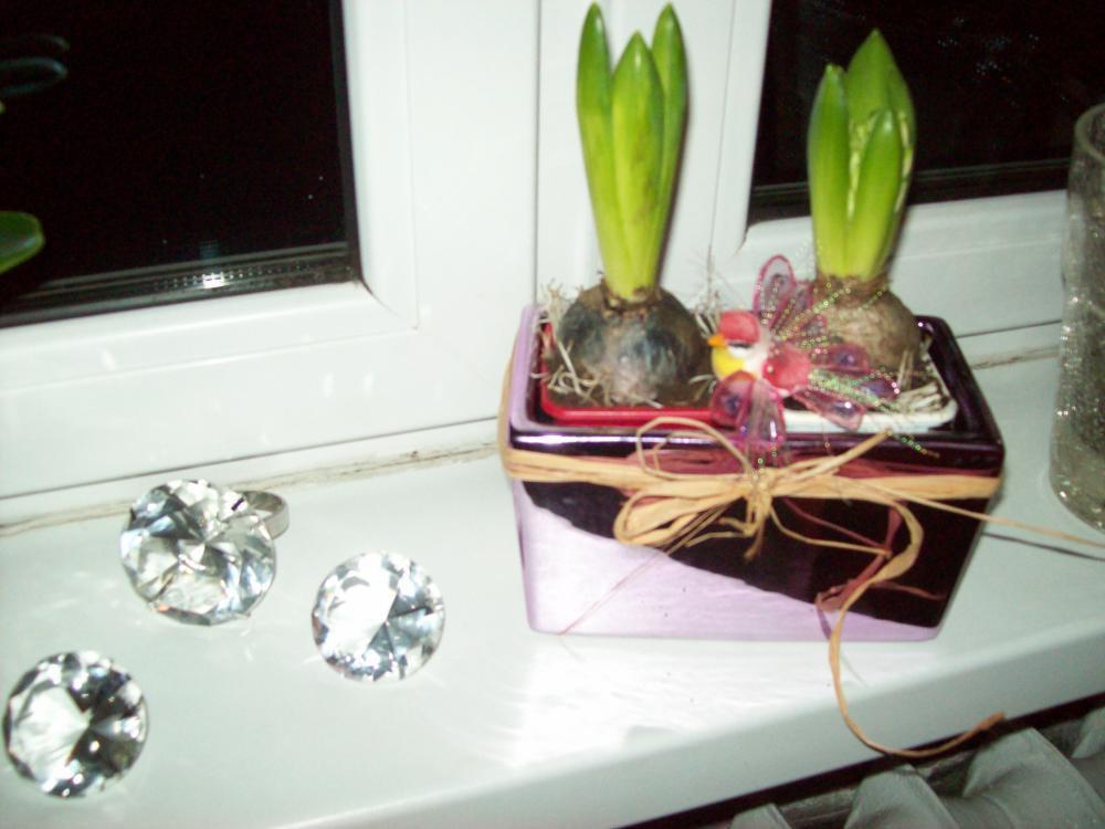 Okno udekorowane na święta, zdjęcie 2