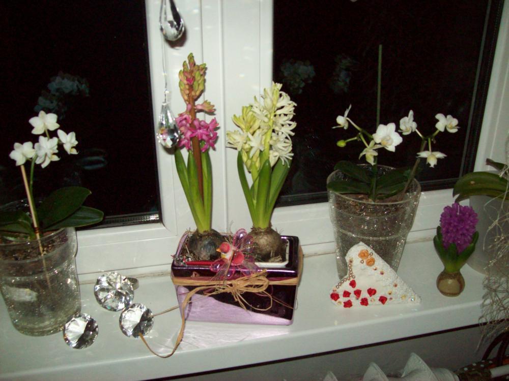 Okno udekorowane na święta, zdjęcie 1