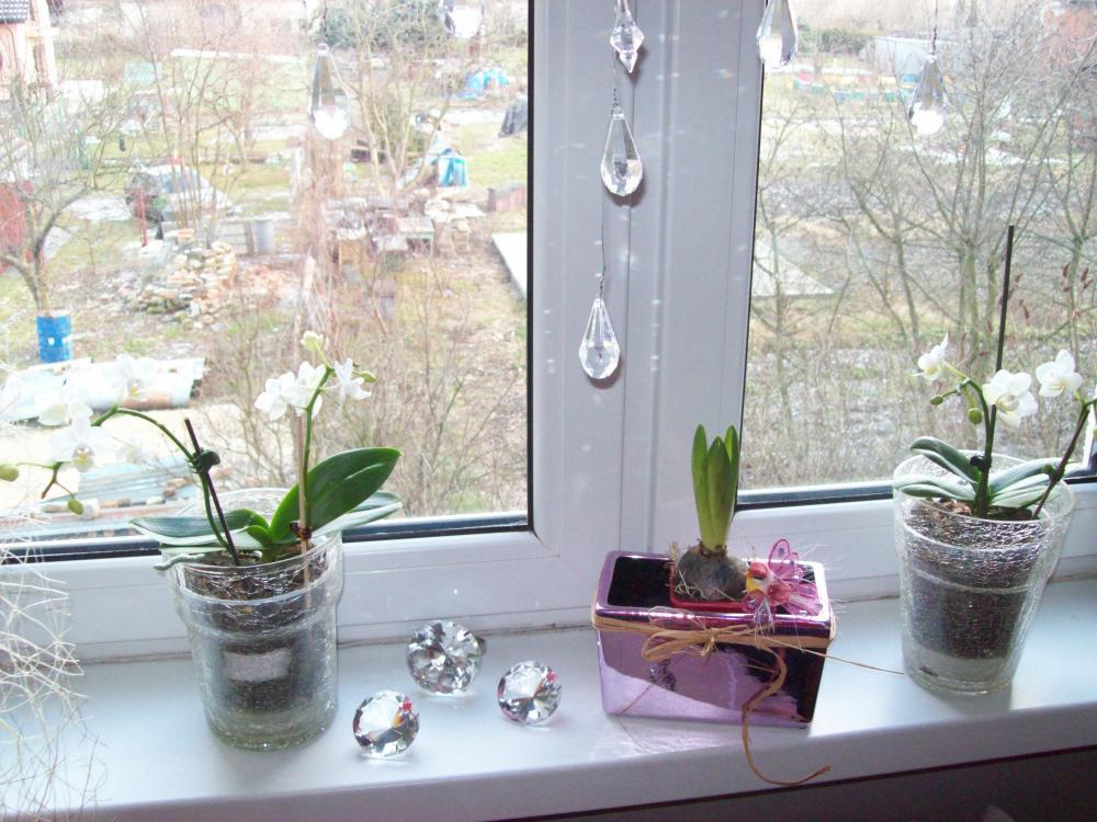 Okno udekorowane na święta, zdjęcie 6