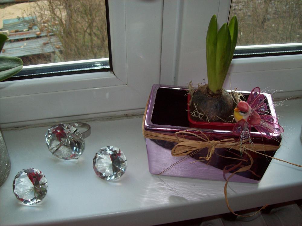 Okno udekorowane na święta, zdjęcie 5