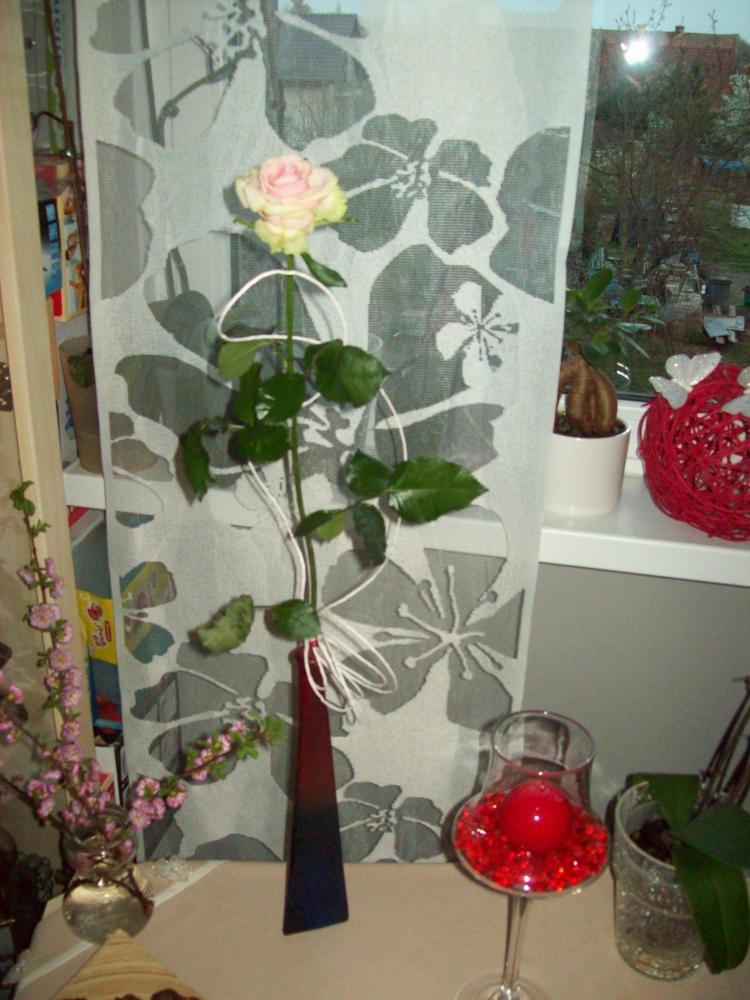 Firany panelowe, zdjęcie 13