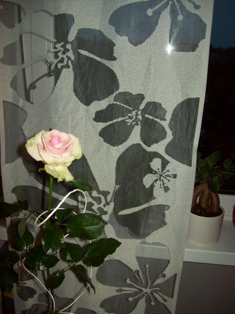 Firany panelowe, zdjęcie 7