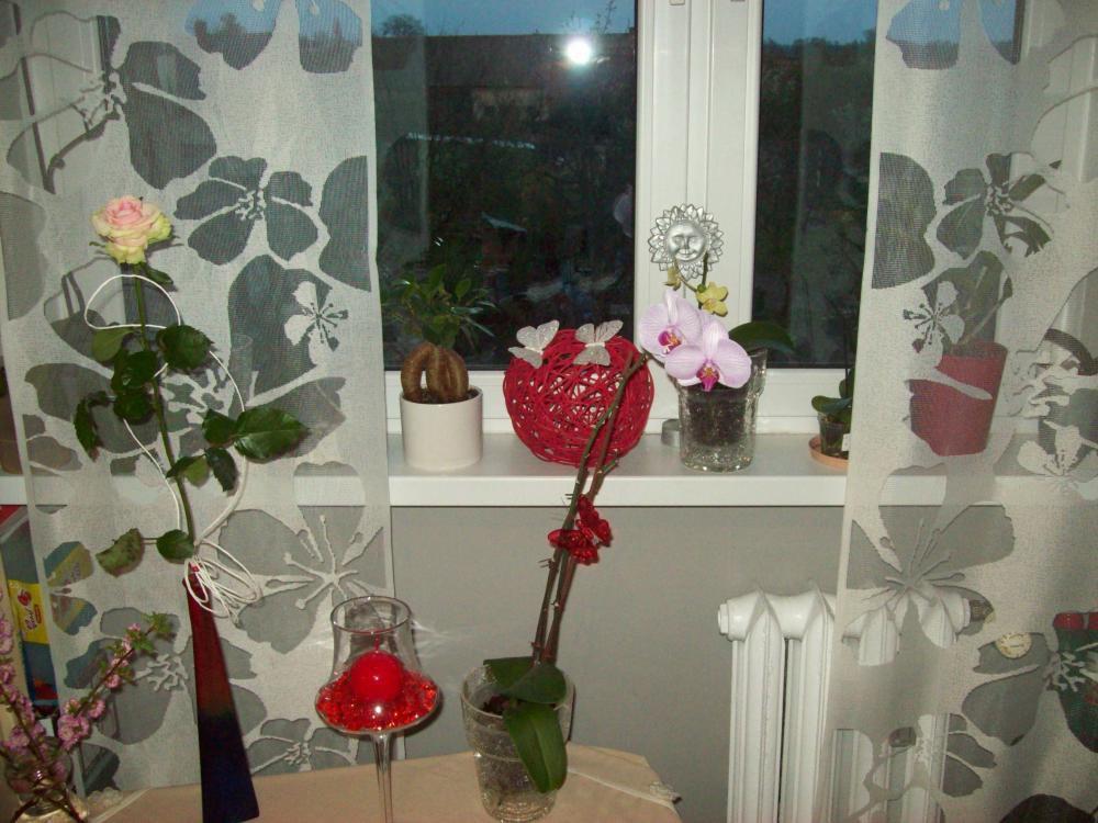 Firany panelowe, zdjęcie 2