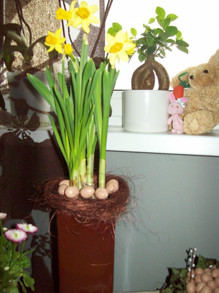 Wiosenne kompozycje, zdjęcie 10