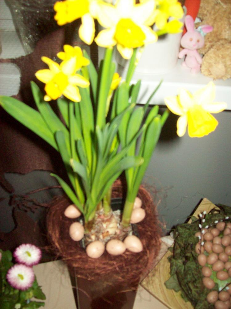 Wiosenne kompozycje, zdjęcie 5