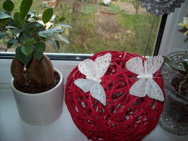 W moim magicznym domu..., zdjęcie 8