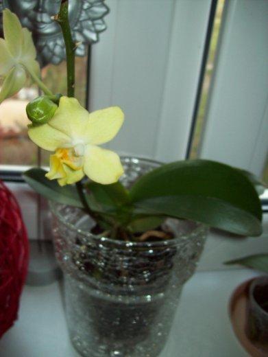 W moim magicznym domu..., zdjęcie 9