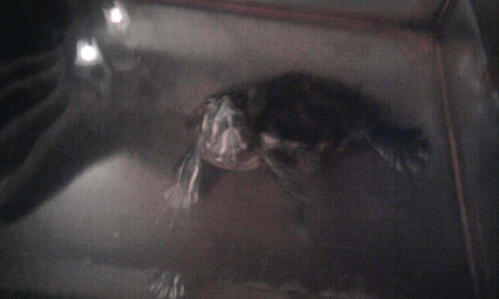 MOJE WNĘTRZE, zdjęcie 3