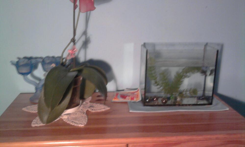 MOJE WNĘTRZE, zdjęcie 2