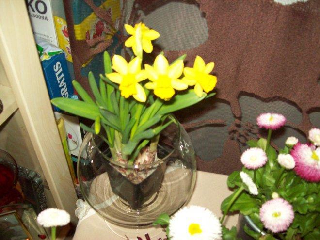 Kompozycja wiosenna- moje dzieło, zdjęcie 2